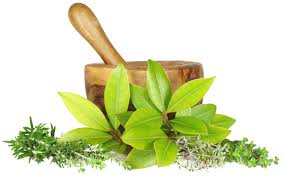 Ayurveda Packages