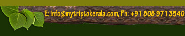 www.mytriptokerala.com :: Your Trip Advisor